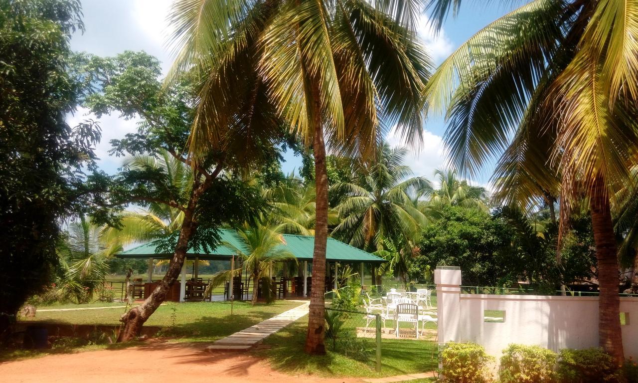Rajarata Family Resort Anuradhapura Exterior photo