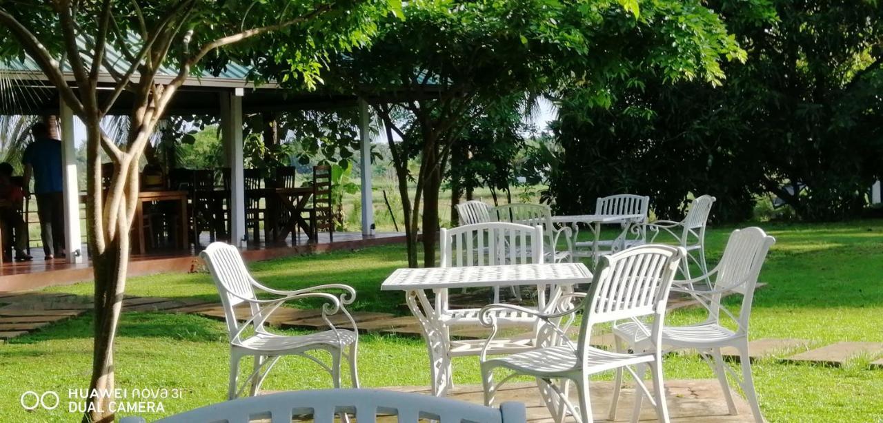 Rajarata Family Resort Anuradhapura Exterior photo